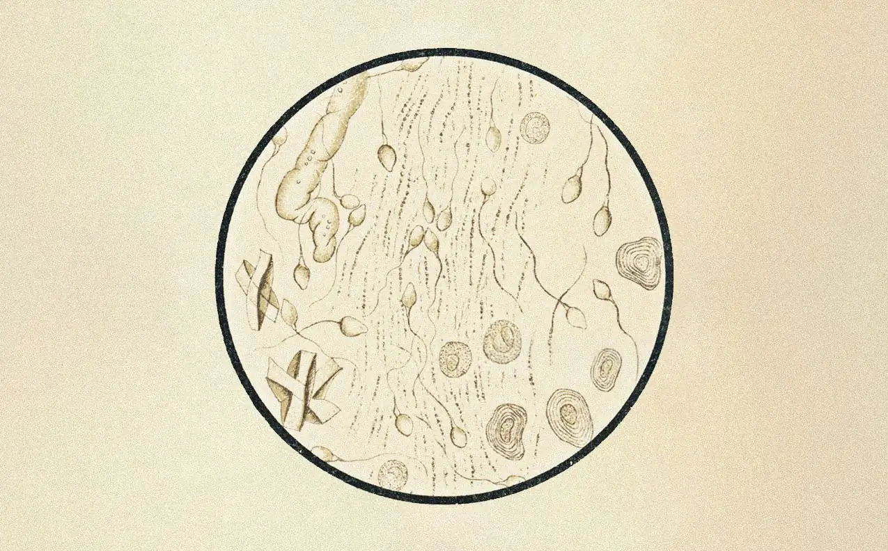 Microscope view of mitochondria in tissue